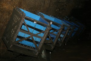 IMG_4301