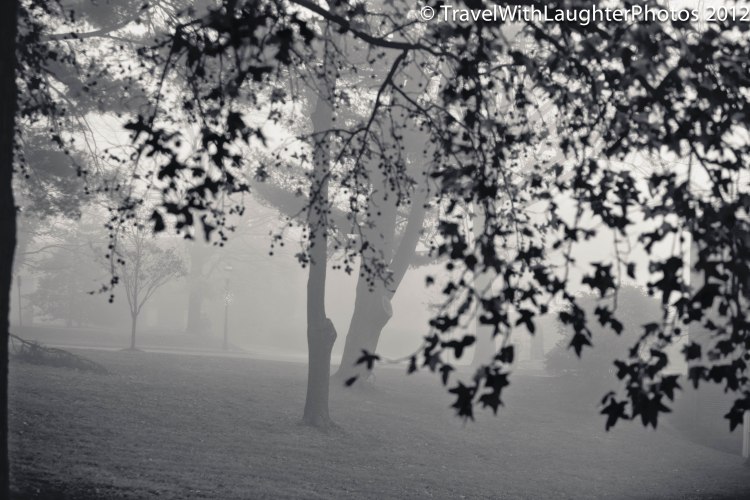 Foggy Doylestown-4336