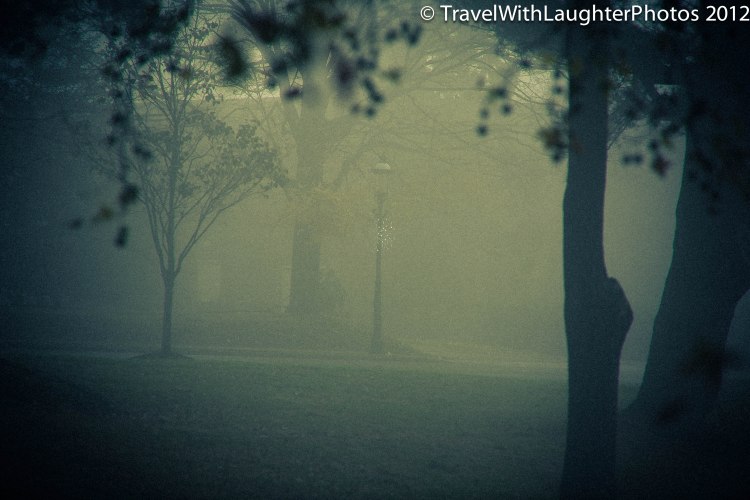 Foggy Doylestown-4338