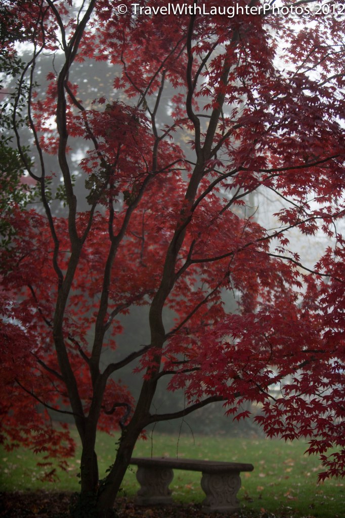 Foggy Doylestown-4360