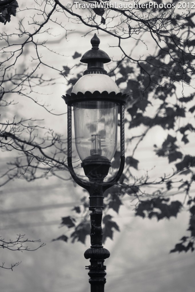 Foggy Doylestown-4361