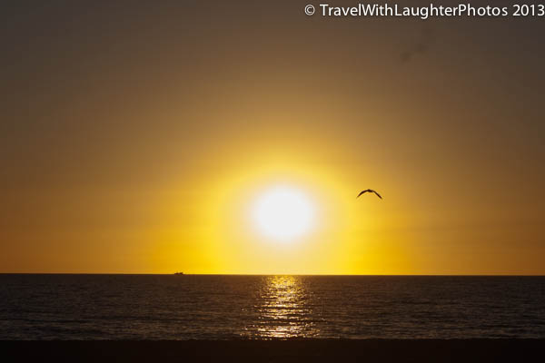 st. pete's sunset-5783