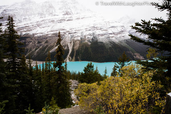Peyto Lake-9977