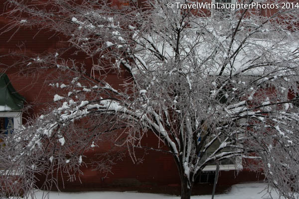 Ice storm 2014-1038