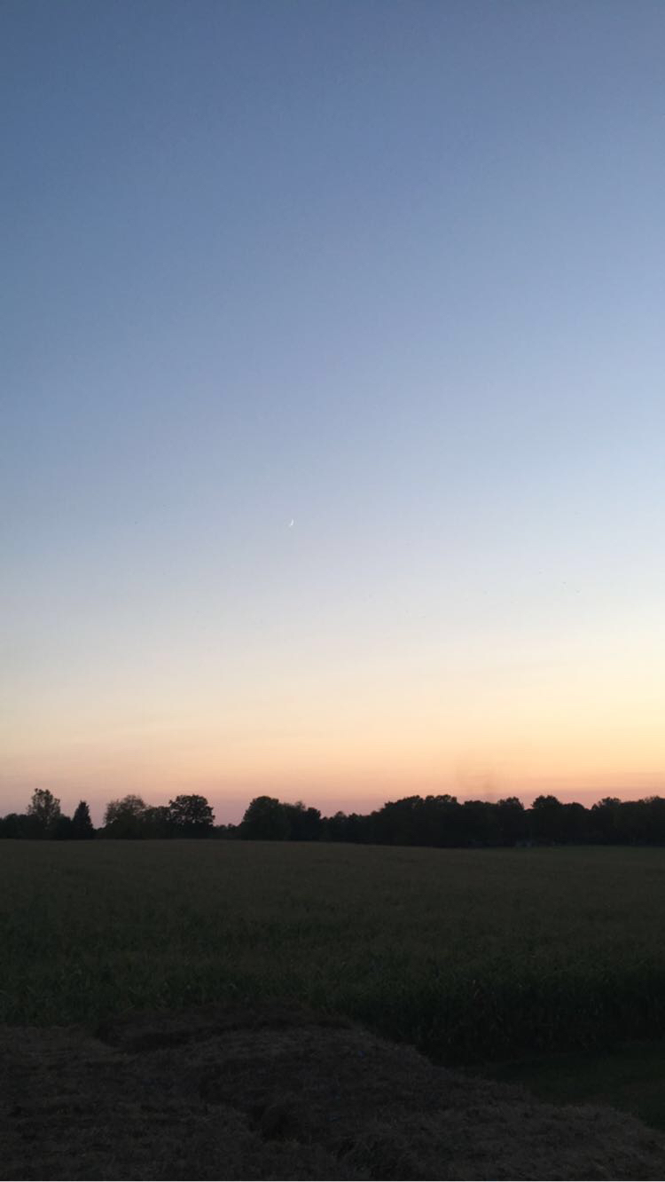 JPEG image-B5996CAEA5F8-3