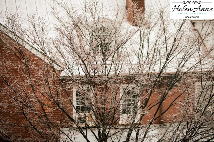 dtown-christmas-7011-2